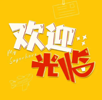 欢迎浏览: S-ALE无板造波，边界速度造波