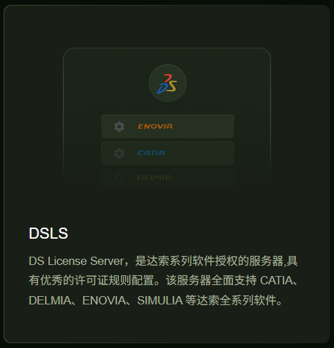 DS License Server
