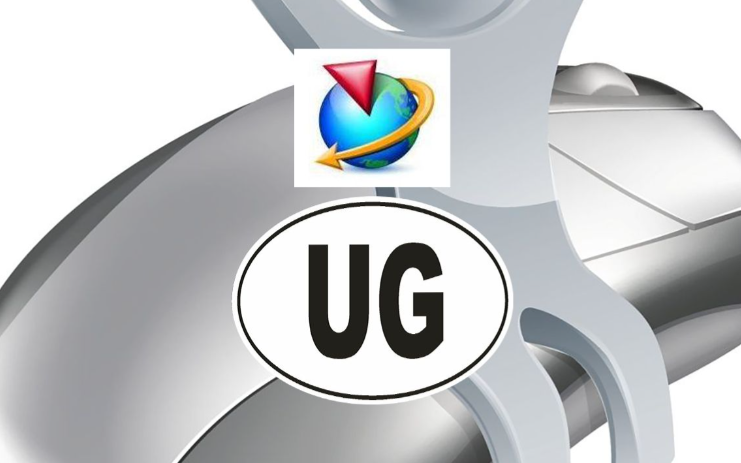 License Server