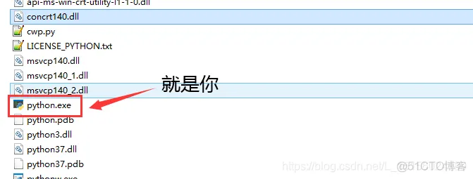 Windows系统TensorFlow多版本安装指南(2.0与1.x.x) - 格发许可优化
