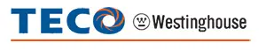 TECO-Westinghouse：重注无穷动力的图5