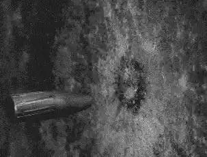 timg.gif