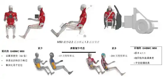 维克弗里斯特大学基于 HyperWorks开发车辆碰撞仿真的人体模型1390.png