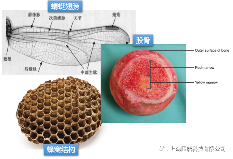 前沿 | 3DE CATIA点阵设计如此简单